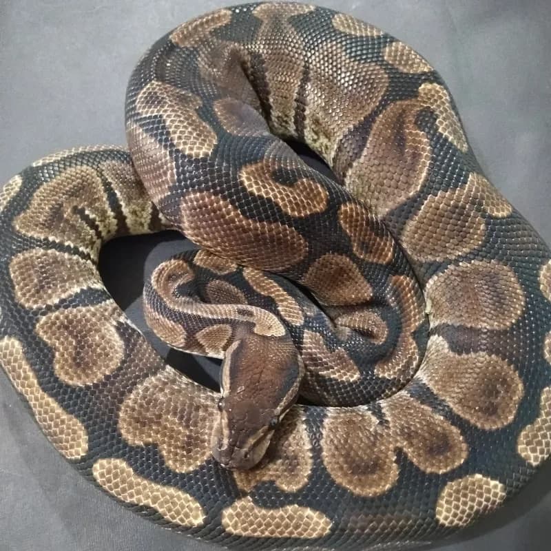 GHI