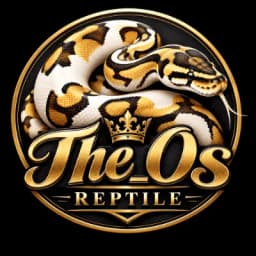 The_Os Reptile