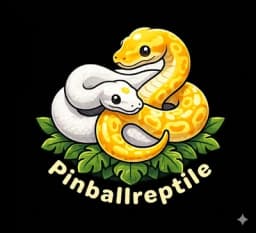Pinballreptile