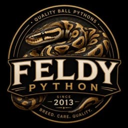 Feldy Python